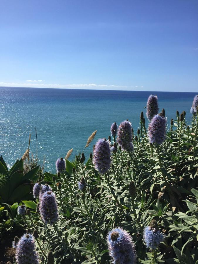 Calheta Ocean View Apartment 2 - Air Condition Estreito Da Calheta Esterno foto